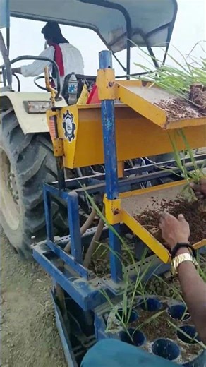 Two row nursery planter।Transplanter