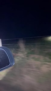 96K views · 1.3K reactions | Pongada #roçaafazenda #javaliselvagem #javali #vidanaroça #caçador #wildlife | Carla Cristina | Facebook