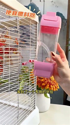 I got this feeder for my parrot, so the little bird never goes hungry. It even makes cleaning much