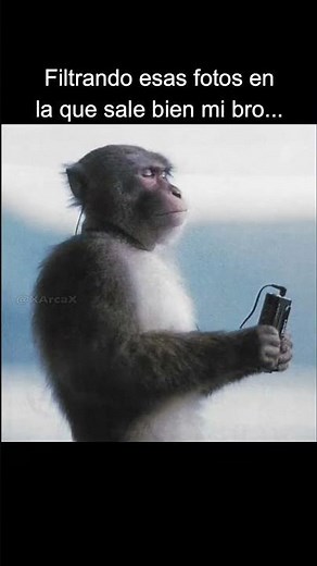 Se filtro XD #memes