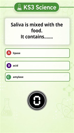 KS3 Science - Digestion Quiz