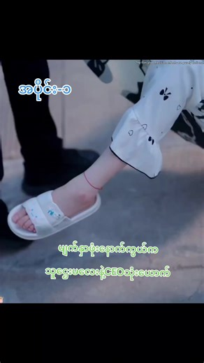 မျက်နှာဖုံးနောက်ကွယ်ကသူဌေးမလေးနဲ့ CEO သုံးယောက်