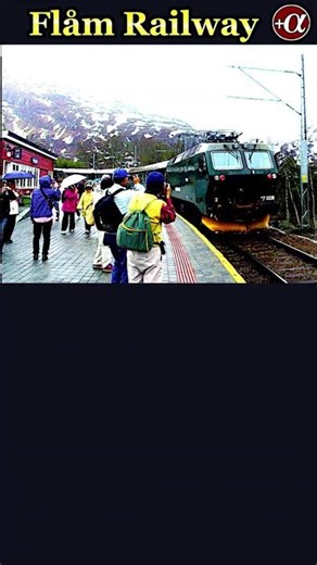 （字幕版）ノルウェー、ベルゲン： フラム鉄道でソグネフィヨルドを訪れた #Shorts