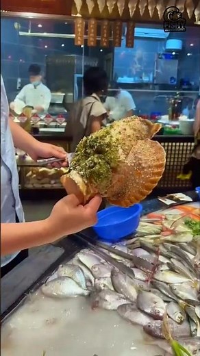 Handling the Most Dangerous Fish Alive! - Stonefish Expert Preparation! #stonefish #fishprep #shorts