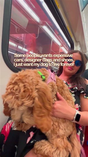 I wouldn’t trade any of this for the world. 🤍