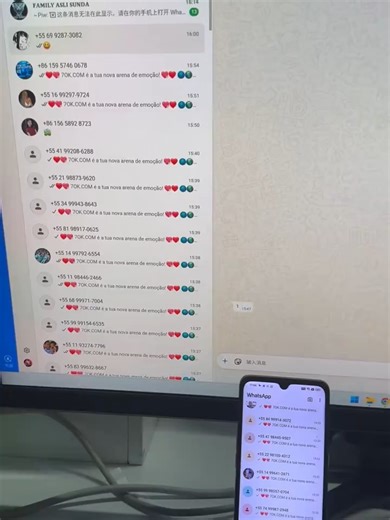 #ws群发 #ws引流 #ws超级号 #whatsapp群发 WhatsApp磐石系统，智能养号 防风控双保障，2条链路同时日发1000条 打造坚如磐石的WhatsApp账号