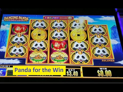 Dancing Panda Fortune and Dancing Panda Festival Slot Winning