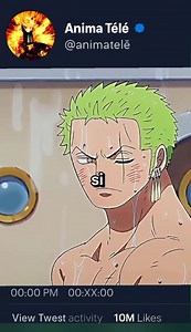501K views · 10K reactions | One piece VF ☠️ #onepiece #anime #zoro #robine #luffy | Anima télé | Facebook