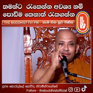 පොඩිම සාමාජිකයා රැකගන්න | The Buddhist Tv