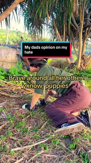 Yes hes aware of the content i make, he still makes fun of yall. Yall could learn a thing or two from my dad #therian #therianthropy #quadrobics #fyp #foryou #fox #foxtherian fake body