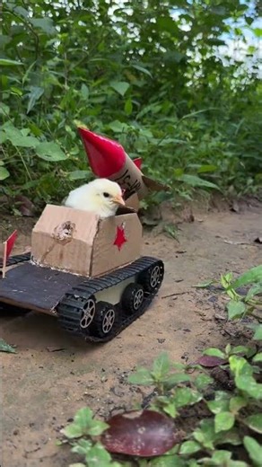 China's fastest missile, hahaha. #funny