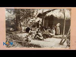 The History Of Nelson Island