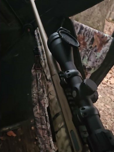 450 bushmaster Ruger American Indiana deer hunt