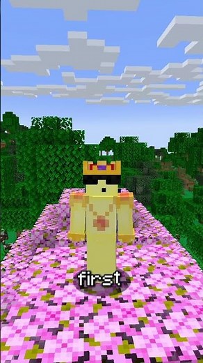 Minecraft Glider Mod Is Insane #minecraft #shorts #mods