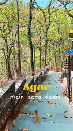 kisi moad pr hindi song ❤️ #trending #foryou #love #fly #hindisong #viral #ytshorts #youtube