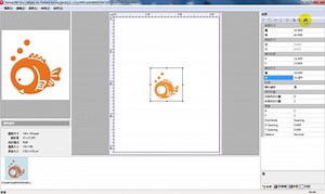 方桔RIP软件安装视频教程