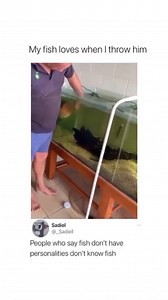 Having a pet fish can be just as exciting and satisfying as having a pet cat or a dog. Take some time to study about them, observe their behaviours. Take note of the changes that occur physically. Pet fish may not be able to follow you around the house, sit on your lap or stand by the doorstep waiting for you to comeback home. But they can be truly loving and a wonderful stress buster 😊 Via: @truikzy | Seazone Innovative