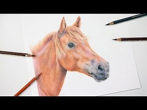 How To Draw a Horse With Colored Pencil | Drawing Tutorial