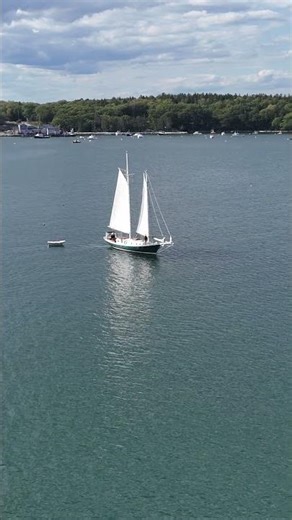 Graceful Schooner Sailing into Harbor / Drone Footage