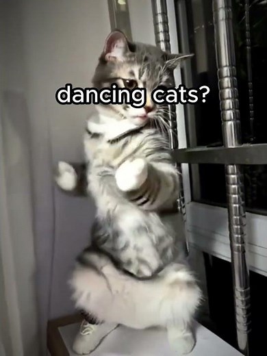 song: BURNING MEMORY FUNK