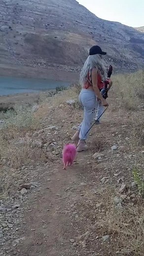 Exploring Nature: Woman Walking Pink Dog in Mountains