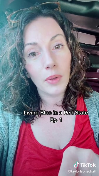 Living Blue in a Red State. 💙😁 Ep. 1 ‘ When your contractor assumes you both believe the same conspiracy theories.’ #SouthernDem #BlueDot #southernliberal