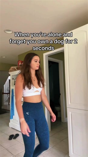 She wasnt amused #fyp #relatable #dog