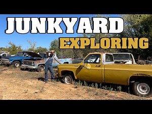 Junkyard Walk through. My favorite find yet, HID IN THE WOODS!