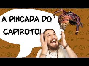 O CARANGUEJO CAPIROTO! - SlowNews 10 | BláBláLogia