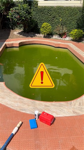 En este video ASMR te muestro el mantenimiento completo de una piscina abandonada, verde y cubierta de algas, hasta dejarla totalmente limpia y cristalina. El proceso paso a paso: Agrego cloro para desinfectar el agua. Retiro suciedad flotante con el sacahojas. Cepillo el fondo para despegar las algas adheridas. Tras 24 horas, aplico decantador para que la suciedad baje al fondo. Espero 16 horas y toda la suciedad ya está acumulada en el fondo. Con bomba externa y aspirafondos, realizo una limpi