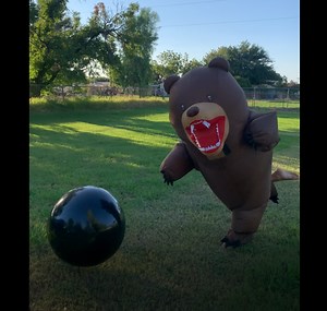 Watch Bowling Bear Inflatable Costume on Amazon Live