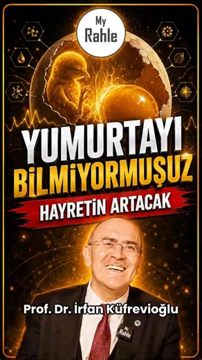 We Didn't Know the Egg - You'll Be Amazed - Prof. Dr. İrfan Küfrevioğlu