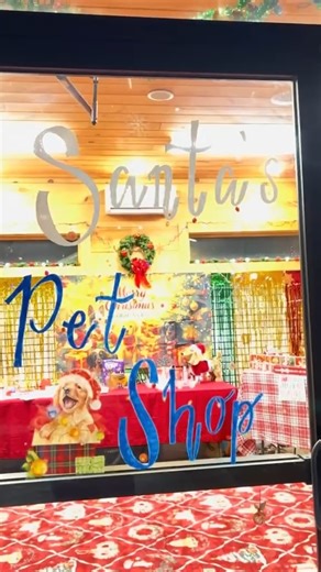 We’re back at Winterfest at Tryon International Equestrian Center & Resort this weekend! ❄️🐾 Come see us — and meet our adorable puppies and kitties! Enjoy kids’ crafts, festive fun, and don’t miss our incredible raffle for one of TWO $500 Amazon gift cards! 🎁✨ #FoothillsHumaneSociety #TryonInternationalEquestrianCenter #TIEC #Winterfest | Foothills Humane Society