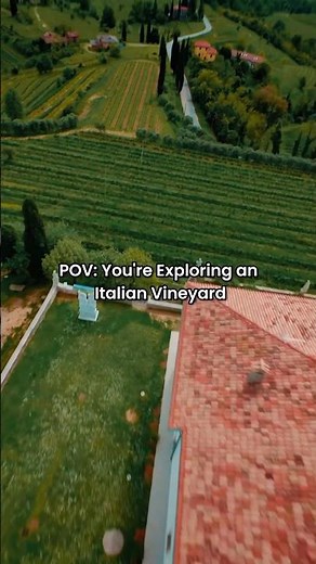 Ever flown through an Italian Vineyard in Tuscany? 👀