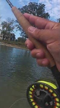 EURO NYMPHING JIG STREAMERS ... the most versatile way to fly fish