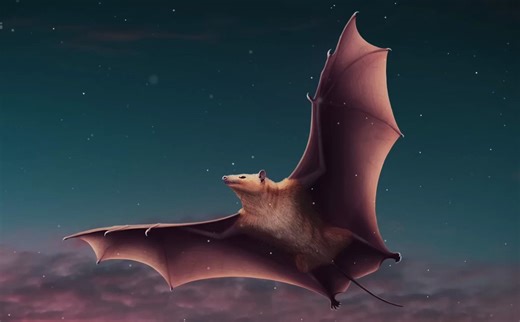 【PBS.Eons】蝙蝠的演化之辩：先有回声定位还是先学飞(Season2 Episode35)