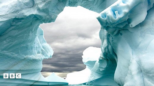 Climate change: Highest-ever temperature of over 20°C recorded in Antarctica