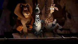 Madagascar Nature Show Comcast