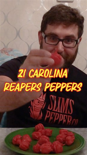 Eating 21 Carolina Reaper peppers! Back in 2017, this was one of my first big challenges during my first year of chilli eating! At the time, there were only a couple people on record who had eaten over 20 Carolina Reapers. Please follow, like, comment and share! mikejackeatsheat.com #carolinareaper #carolinareapers #carolinareaperchallenge #spicy #spicyfood #pepper #eating #chili #chilli #eatingchallenge #foodchallenge #peppers #chilis #superhot #mikejackeatsheat | Mike Jack Eats Heat
