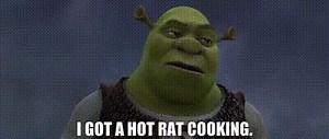 I got a hot rat cooking.