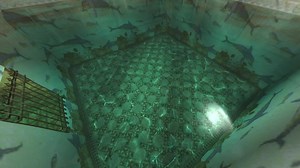 Lara Croft Air Swimming Adventure