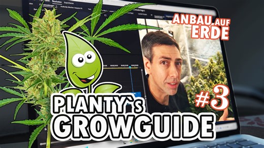 Growbox aufbauen: Cannabis Indoor richtig starten