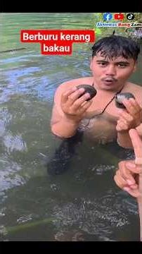 SEHARIAN MENCARI KERANG DI SPOT ULAR ANAKONDA🐍 #shortvideo #anakonda #kerang #survival #petualangan