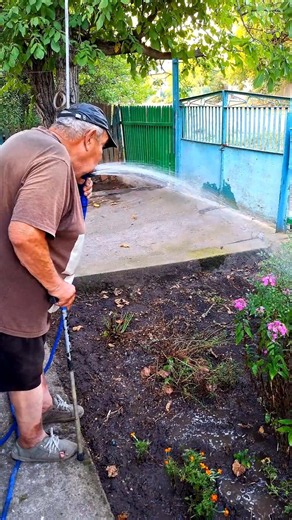 Relaxing garden watering routine in a blooming flower bed #gardening #garden #homestead #shorts
