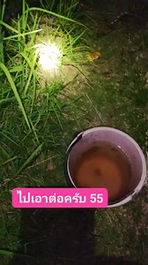 53K views · 1K reactions | Farming Thailand เพาะปลูกประเทศไทย on Reels | Facebook