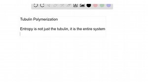 SOLVED:Polymerization of tubulin subunits into microtubules occurs with an increase in the orderliness of the subunits. Yet tubulin polymerization occurs with an increase in entropy (decrease in order). How can that be?