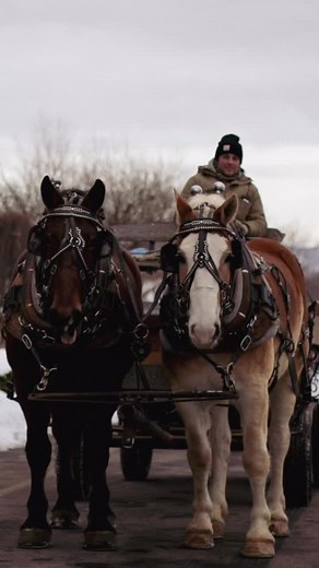 3.9K views · 40 reactions | The holidays are almost here at Mountain...