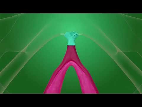 Excision : la réparation du clitoris expliquée en 3D 👩🏼‍⚕️🚺🏥 Gams - Vidéostorytelling by Néologis