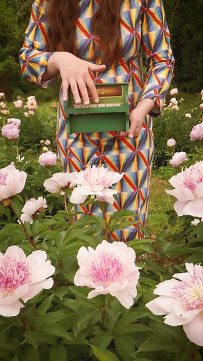 🌺🌸 Bring me a dream 🌸🌺 #peonies #mrsandman