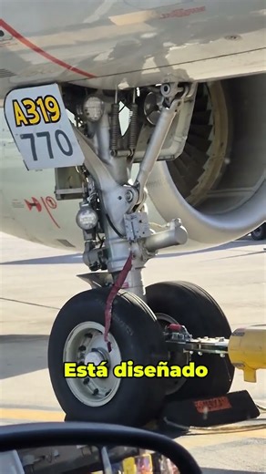 Airbus A319 Technical Breakdown #airbus319 #aviation #spotting #planespotting #ingenieria #airport